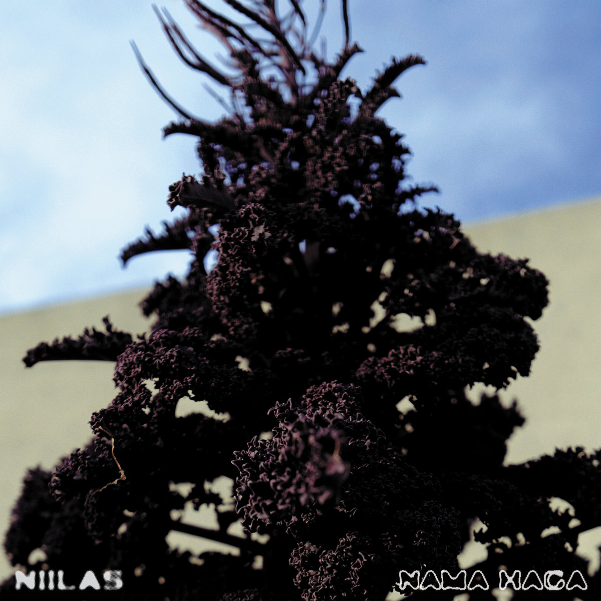 Niilas: Nama haga (CD/vinyl)