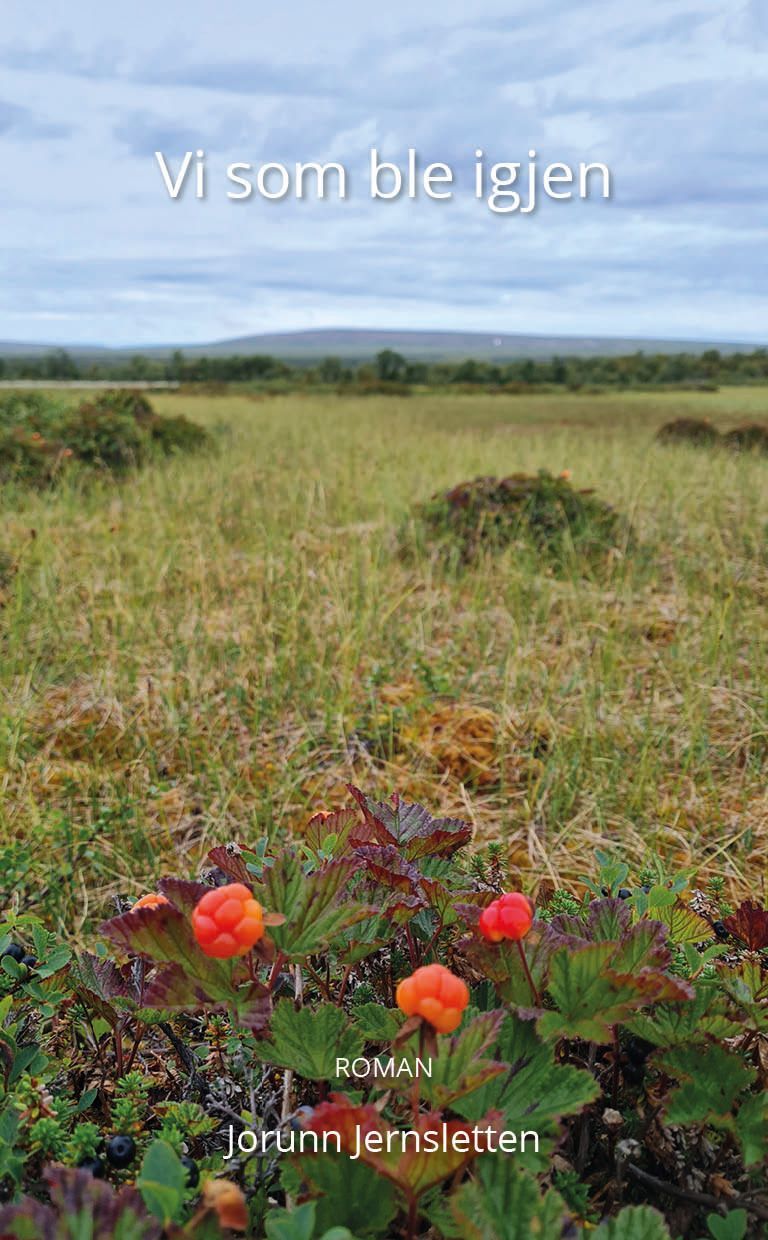 Jorunn Jernsletten: Vi som ble igjen
